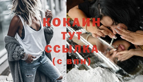 молекула духа Алексеевка