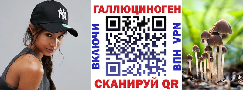 купить наркотик  Харовск  Галлюциногенные грибы мицелий 